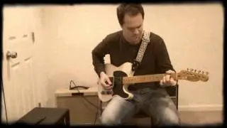 Barber Electronics - Gain Changer (Tele and Muleskinner)