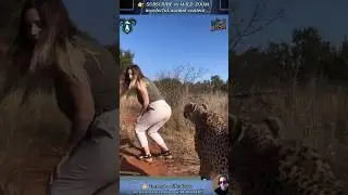 18 AMAZING Animal Clips You MUST See! ⚡ WILD ZOOM #animals #animalshorts  #animalclips