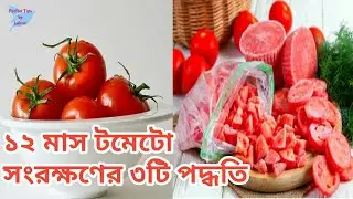 সারা বছর টমেটো সংরক্ষণ করে রাখুন ৩ টি সুবিধাজনক পদ্ধতিতে|| How to Store Tomatoes in Refrigerator?