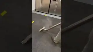 Carpet Steam Cleaning in Melbourne