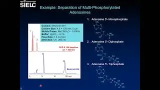 Introduction to Newcrom Mixed-mode Stationary Phases with Example Applications