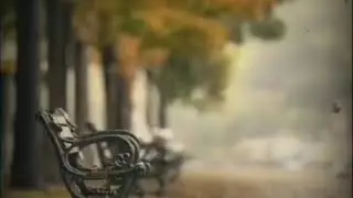 Azad İlqarlı (Ad g&uuml;n&uuml;mə)