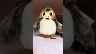 Good morning and may the force be with you! #starwars #puppets #porg #disneyland