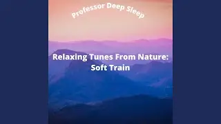 Gentle Soft Train Sounds For Sleep Pt.1