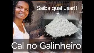 Cal pro Galinheiro,qual usar? @Umarocanomeucoracao