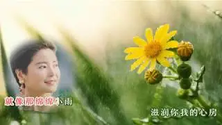 使爱情更美丽-邓丽君