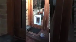 Petsafe Passport Intelligent Dog Door