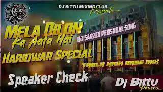DJ Sazen Udaipur Palka