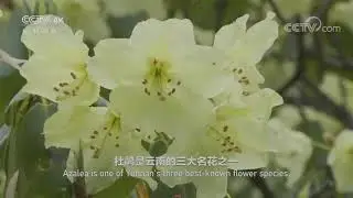 美如仙境！走进传说中最后一处隐世天堂——巴拉村《美丽中国自然》三江并流系列【CCTV纪录】