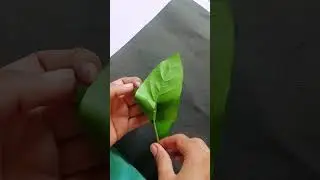 DIY Leaf 🍃bouquet💐 ideas 😍/Leaves craft #diy #leafbouquet #ideas #bouquet #handmade #ideas