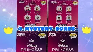 Disney Princess Mini Snow Globes 👸👸👸👸