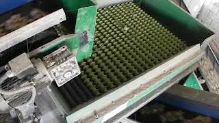 Maquinaria limpiadora de Almendra 4