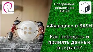 Функции на BASH. Как передать значение скрипту BASH и получить значение переменной из скрипта BASH?