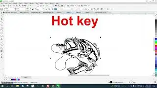 Corel Draw Tips & Tricks Hot Key or Short cut key to ZOOM to page Height