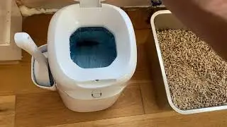 Wood Pellet Cat Litter In A NON-SIFTING Litter Box! Does It Work?