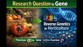 What Is a Research Question? | Top-Down Reverse Genetics in Post-Harvest Horticulture & Genomics