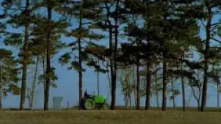 Video divertenti Autovelox