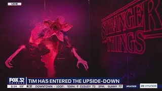 A demogorgon has descended on Oak Brook inside The Stranger Things Store