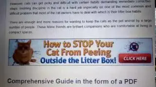 Cat Spraying No More Review