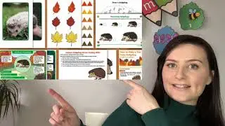 Hedgehog Awareness Week Resource Pack - Twinkl EYFS