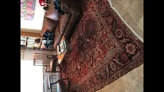 Does cat Pee ODOR Ever come out Of A Turkish carpet