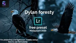 How to edit like Dylan fursty on Lightroom mobile tutorial   @fursty instagram filter free preset