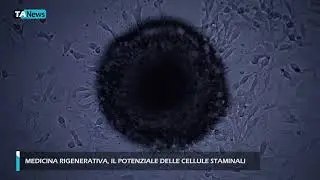 Regenerative Medicine: The Potential of Stem Cells