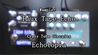 Crazy Tube Circuits Echotopia vs. Wampler Faux Tape Echo