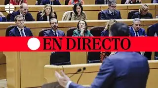 🔴 DIRECTO | Cara a cara entre Sánchez y Feijóo en el Senado