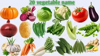 Learn Vegetable Names in English & Hindi 🥦 | Kids Educational Video