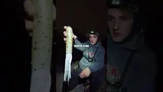 From a Raffle to a Rare Fish