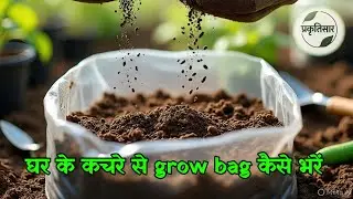 👍🏻घर के कचरे से ग्रो बैग कैसे भरें |आसान और सस्ता तरीका How to Grow Tomato Plant Using Kitchen Waste