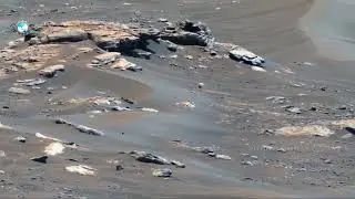 NASA's Mars Perseverance Rover Released Shocking Pictures- Curiosity Mission Latest Update 2023