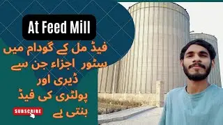 Cow feed ingredients|Poultry feed ingredients |Soyabean meal and Canola meal | Feed Formulation