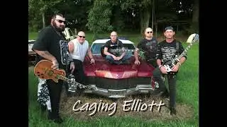 Vote Caging Elliott