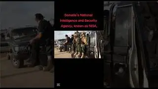 Somalia: Senior Al-Shabaab Commander Killed in Hiiraan Operation #news #2025 #worldnews #military