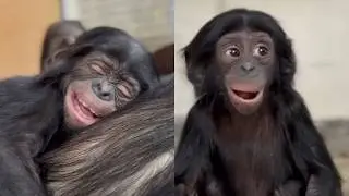 Чистая любовь между малышкой Дейзи и мамой Джильдой нерушима ❤️