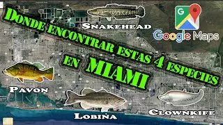 TRUCOS Usando MAPA DE GOOGLE para encontrar lugares de PESCA - 📽 # 200