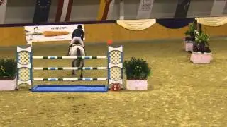 ARKOL 2008 Grey Stallion by Argentinus