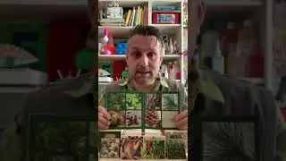 7320 Botanik-Box - f&uuml;r Kindergartenkinder, Hortkinder, Schulkinder & Erwachsene