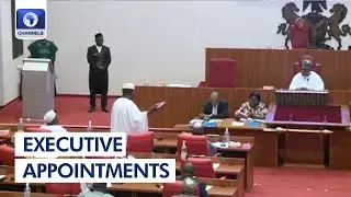 Senate Screens Ministerial Nominees