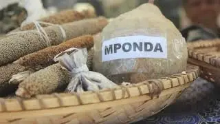 2024 Zambia Traditional Seed and Food Festival