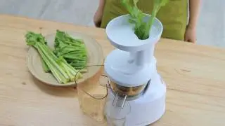 Entsafter und Gemuesesaft