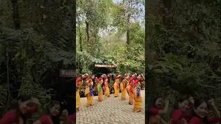 Bodo girl short reels 🥰🤗 #dance #reels #bodo #bodocreation #shortsviral #shortvideos #shorts #love