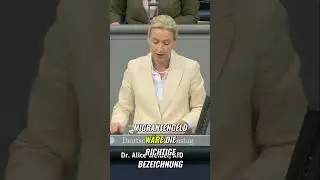 Weidel: Wahlbetrug! B&uuml;rgergeld-Chaos im Bundestag entlarvt! #shorts