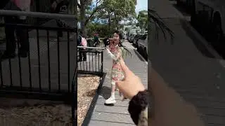 70斤的骨頭80斤的反骨 #2026vlog #愛自己 #豆豆 #vlog #reel #劉格格 #騙你生女兒 #格格 #萌娃 #童年回憶 #自拍 #小孩養成日記