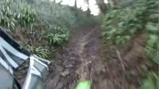 North Stoke - Swineford Lane (Byway, W-E)