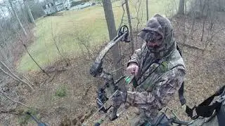 Long Island NY Nuisance Hunt 2023