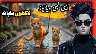 How To Create Orange Cat Releastic Ai Videos | Viral Chanel idea💯🔥
