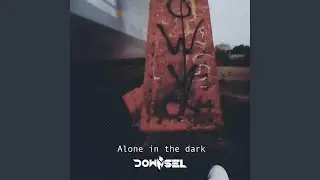 Alone in the dark